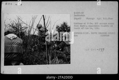 Marines von D Co. 3/9 sind am 2. März 1967 in der Operation Prairie II im Kampf. Das Foto wurde von Sgt. H.L. Shau aufgenommen. Die Soldaten geben feindliches Feuer zurück, während sie nördlich von Can Lo in der Republik Vietnam liegen. Bildquelle: Verteidigungsabteilung (Marinekorps), Fotonummer A188468, 2M²x67. Stockfoto