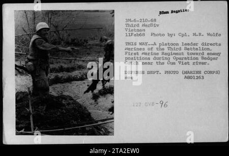 Marines des Dritten Bataillons, First Marine Regiment, werden von ihrem Zug-Anführer geleitet, während sie während der Operation Badger Fang auf feindliche Positionen in der Nähe des Flusses Cua Viet vorrücken. Dieses Foto wurde am 11. Februar 1968 von M.R. Wolfe aufgenommen und ist mit freundlicher Genehmigung des Verteidigungsministeriums (Marine Corps). Stockfoto