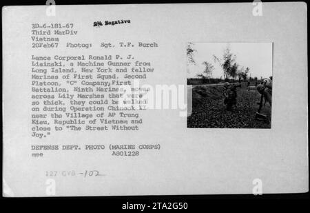 Lance Corporal Ronald P. J. Lisinski, ein Maschinenschützer aus Long Island, New York, und seine Marines aus First Squad, Second Platoon, C-Kompanie, First Battalion, Neunte Marines, man kann sehen, wie man während der Operation Chinook II in der Nähe des Dorfes AP Trung Kieu in Vietnam durch dichte Lilien-Sümpfe manövriert. Die Gegend ist in der Nähe von 'The Street Without Joy'. Dieses Foto wurde am 20. Februar 1967 aufgenommen. Stockfoto