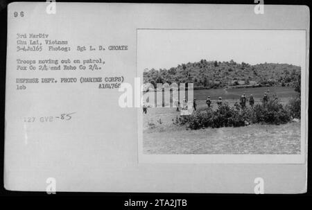 Truppen der Fox Company 2/1 und der Echo Company 2/4, die zur 3. Marine Division gehören, sind am 3. Juli 1965 auf einer Patrouille in Chu Lai, Vietnam, zu sehen. Das Foto wurde von Sergeant L. D. Choate aufgenommen und ist Teil des Archivs des Verteidigungsministeriums. Stockfoto