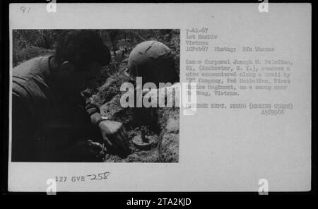 Bildunterschrift: Lance Corporal Joseph M. Paladino aus Rochester, N.Y., löst eine Mine, die während einer Minenräumaktion in der Nähe von da Nang, Vietnam, auf einem Pfad angetroffen wurde. Das Foto wurde am 10. Februar 1967 aufgenommen und ist Teil der amerikanischen Militäraktivitäten während des Vietnamkriegs. Stockfoto