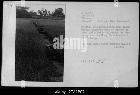 Marines aus dem 2. Bataillon, dem 5. Marine-Regiment, warten auf einem Reisfeld während einer Such- und Zerstörungsmission in der Nähe von an Hoa, Vietnam am 10. August 1967. Dieses Foto fängt die angespannte und wachsame Atmosphäre der Patrouillen ein, die von amerikanischem Militär während des Vietnamkriegs durchgeführt wurden. Stockfoto