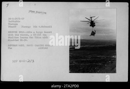 Ein CH-53A Sea Hallion Helikopter wird hier gesehen, der einen behinderten UH-34 Hubschrauber von Con Thien in Vietnam evakuiert. Dieses Foto wurde am 7. Dezember 1967 von PFC O.McDowell aufgenommen, einem Fotografen mit dem 3rdMarDiv. Das Bild ähnelt einem großen Insekt, das seine Beute trägt, und es wurde während militärischer Aktivitäten in Vietnam aufgenommen. Dieses Foto ist ein offizielles Foto des Verteidigungsministeriums (Marine Corps). Stockfoto