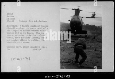 Marineingenieur greift gegen die Rotorspülung eines Marine Medium Helicopters 262, der am 8. August 1967 in Vietnam landet. Die Ingenieure, die an Marine-Infanterieeinheiten angeschlossen sind, identifizieren geeignete Landezonen und leiten Piloten an, dort zu landen. Dieses Foto wurde von Sgt W.R.Jackson aufgenommen. Stockfoto