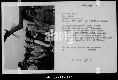 Marine Security Guards begleiten vietnamesische Flüchtlinge zu einer Verarbeitungsstation an Bord der USS Hancock während der Operation häufige Windevakuierungsübungen vor Saigon am 29. April 1975. Stockfoto