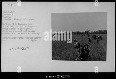 Marines der B Kompanie, 1. Bataillon, 1. Marine Regiment, die eine Such- und Zerstörungsmission auf einem Reisfeld durchführen, 8 Meilen nördlich von Danang. Das Bild fängt einen Moment der Patrouille ein, während sie das Gebiet während ihrer Mission durchstreifen. Dieses Foto wurde am 31. März 1966 von PFC Cole aufgenommen. EIFsetDF 284 Stockfoto