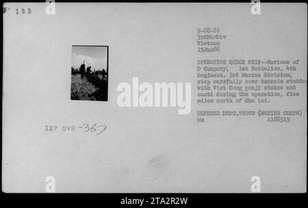 Am 15. Januar 1966 bewegten sich Marines der D Company, 1. Bataillon, 4. Regiment, 3. Marine-Division, während der Operation Quick Skip in der Nähe von Chu Lai, Vietnam, durch das Gelände mit Punji-Stangen und Kakteen. Stockfoto