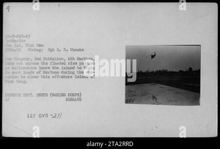 Amerikanische Marines der Fox Company, 2. Bataillon, 4. Marines, setzen sich über überflutete Reisfelder um, während Helikopter zusätzliche Truppen transportieren, während sie die Insel Tich Bong räumen. Dieses Foto wurde am 30. Mai 1965 in Chu Lai, Vietnam, von Sgt. L. D. Choate vom US Marine Corps aufgenommen. Stockfoto
