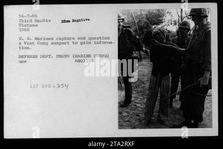 US-Marines verhaften und verhören einen mutmaßlichen Viet Cong-Agenten in Vietnam während des Vietnamkrieges 1966. Der Zweck des Verhörs ist es, Informationen zu sammeln und Informationen über die Aktivitäten des Feindes zu erhalten. Dieses Foto ist ein Foto des Verteidigungsministeriums, aufgenommen vom Marine Corps. Stockfoto