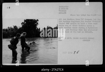 Marines der A-Kompanie, 1. Bataillon, 5. Marines-Regiment, 1. Marine-Division, wurden am 28. Dezember 1966 während einer Such- und Zerstörungsoperation nordwestlich von Chu Lai, Vietnam, fotografiert. Das Foto zeigt die Marines, die mit Hilfe ihrer Kameraden einen regengeschwollenen Fluss überqueren, während sie sich anstrengen, um eine straffe Linie zu halten. Stockfoto