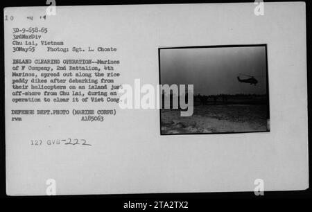 Marines der F Company, 2. Bataillon, 4. Marines steigen am 30. Mai 1965 von UH-34 Hubschraubern aus, während einer Inselräumaktion in der Nähe von Chu Lai, Vietnam. Die Operation zielte darauf ab, die Viet Cong-Präsenz von der Insel zu entfernen, wobei sich die Marines entlang der Reisfelddeiche ausbreiteten. Fotografiert von Sgt. L. Choate. Stockfoto