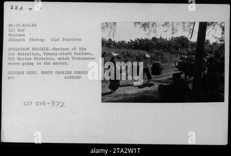 Marines des 1. Bataillons, 26. Marines, 5. Marine-Division in Operation Prairie werden beobachtet, wie sie vietnamesische Frauen auf dem Markt beobachten. Dieses Foto fängt einen Moment des vietnamesischen Zivillebens während des Vietnamkriegs am 20. September 1966 ein. (Foto von LCpl Ferriera, Verteidigungsministerium Foto: Marine Corps – A189380 127 GVB-372). Stockfoto