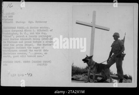 Ein Marineschützer, Lance Corporal Glenn L. Mitchell aus Washington, D.C., und sein Hund, der Chief, patrouillieren bei der Marine Aircraft Group (AG)-36 in Vietnam. Sie halten neben einem Kreuz in der Nähe der Gruppenkapelle an. Dieses Bild, das am 26. November 1966 während des Vietnamkrieges aufgenommen wurde, spiegelt die Hoffnungen der Marine auf Frieden während der Weihnachtszeit wider. Stockfoto