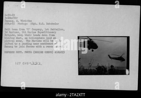 Bildunterschrift: Hubschrauber UH-34 von 'C' Company, 1. Bataillon, 3. Marines, 9. Marine Expeditionstrugade, landet in einer Abholzone. Die Marines schützen sich vor Staub, während sie auf einen Heli-Lift in eine Landezone südwestlich von Danang warten, wo sie sich mit einer Aufklärungspatrouille zusammentun. (25. April 1965, 3. Marine Division, Danang, Südvietnam. Foto von SSgt. H.C. Batchelor) Stockfoto