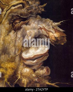 Winter (Detail) 1563 von Giuseppe Arcimboldo Stockfoto