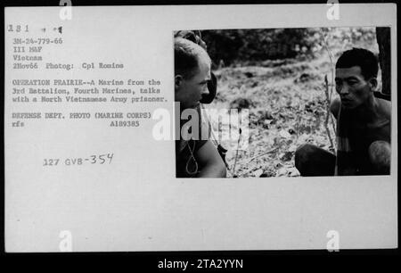 Ein Marine des 3. Bataillons, Vierte Marines, führt am 2. November 1966 Gespräche mit einem Gefangenen der nordvietnamesischen Armee während der Operation Prairie. Dieses Foto zeigt einen Moment der Kommunikation und Interaktion zwischen den beiden Personen. Das Bild wurde von CPL Romina aufgenommen und ist ein Foto des Verteidigungsministeriums vom Marine Corps. Stockfoto