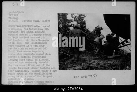 US-Marines von L. Kompanie, 3. Bataillon, 5. Marines, laden verwundete Soldaten von I Kompanie auf einen H-3 medizinischen Evakuierungshubschrauber während der Operation Hastings am 24. Juli 1966. Die Schlacht dauerte zehn Stunden gegen schätzungsweise 100 nordvietnamesische Stammgäste, was zu mäßigen Verlusten führte. Dieser Betrieb war einer der größten zu dieser Zeit. Stockfoto