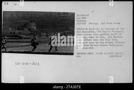 US-Marines des 3. Bataillons, 7. Marine-Regiment, die Operationen in der Nähe eines Lloa südlich von da Nang, Vietnam, am 18. Juli 1967 durchführen. Die Marines wurden von Sea Knight Helikoptern der Marine Medium Helicopter Squadron-165 in das von Vietnam besetzte Gebiet transportiert. Stockfoto