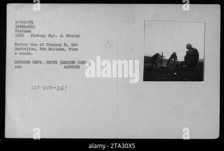 Mörsermänner von Kompanie D, 1. Bataillon, 4. Marines, feuern während des Vietnamkriegs eine Runde ab. Dieses Foto wurde 1965 von Sgt. J. Fraley aufgenommen und ist Teil der Sammlung, die verschiedene amerikanische Militäraktivitäten während des Konflikts zeigt. Dieses Bild wurde für die sachliche Berichterstattung entwickelt und erfasst einen entscheidenden Aspekt des Vietnamkriegs. Stockfoto