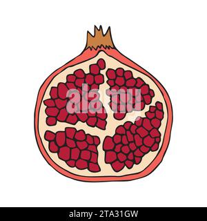 Vektor Hand gezeichnete Kritzelskizze farbiger Granatapfel isoliert auf weißem Hintergrund Stock Vektor