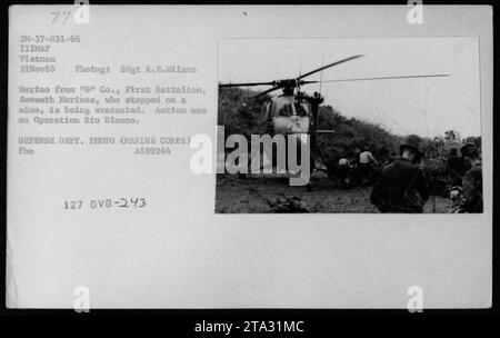 Ein Marine von B Co., First Battalion, Seventh Marines, wird evakuiert, nachdem er während der Operation Rio Blanco am 21. November 1966 auf eine Mine getreten ist. Das Foto stammt aus einer Sammlung von Bildern, die amerikanische militärische Aktivitäten während des Vietnamkriegs darstellen. Verteidigungsabteilung Foto (Marine Corps), Fotograf: SSgt R.E. Wilson. Stockfoto