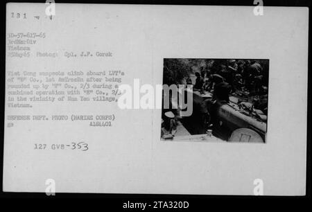 Bildunterschrift: Viet Cong vermutet, an Bord der LVT (Amphibienfahrzeuge) der „B“ Company, 1. AmTracBn, zu klettern, nachdem sie am 25. Mai 1965 von der Kompanie 2/3 während einer gemeinsamen Operation mit der Kompanie „E“ 2/3 in der Nähe des Dorfes Nam Yen, Vietnam, gefangen genommen wurde. Dieses Foto wurde von CPL J.P. Gorak aufgenommen und ist Teil des Verteidigungsministeriums. Stockfoto