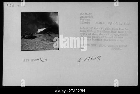 Ein Panzer von A Co., 3. Panzerbataillon, feuerte am 12. Februar 1967 Feuer in dichten Pinsel nördlich von Camp Carroll R.V. in Vietnam ab. Der Tank räumte besetzte Tunnel durch Verbrennung der Bürste ab. Dieses Foto wurde von Sgt. J.I. Blick aufgenommen und ist ein Foto des Verteidigungsministeriums (Marine Corps). Nr. 332 Stockfoto