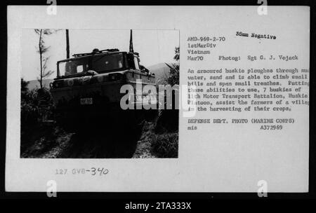 Ein gepanzertes Huskie-Fahrzeug aus dem 11. Motortransportbataillon der 1stMarDiv in Vietnam, März 1970. Der Huskie pflügt durch schlammiges Wasser und Sand, kann kleine Hügel erklimmen und kleine Gräben überqueren. Auf diesem Foto helfen sieben Huskies Bauern bei der Ernte ihrer Ernte in einem Dorf. VERTEIDIGUNGSABTEILUNG. FOTO (MARINE CORPS) MIS A372969. Sgt G. J. Vojack – Fotograf. Stockfoto