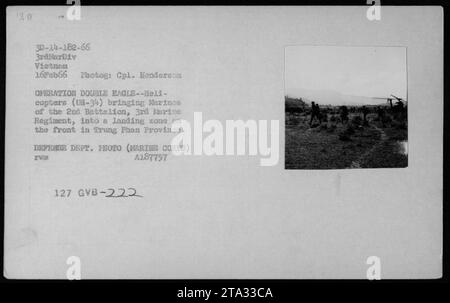 UH-34 Hubschrauber führen eine Militäroperation namens 'Operation Double Eagle' durch. Am 16. Februar 1966 transportierten sie Marines vom 2. Bataillon, 3. Marine-Regiment, in eine Landezone in der Provinz Trung Phan. Dieses Foto wurde von CPL Henderson vom Verteidigungsministerium aufgenommen. Stockfoto