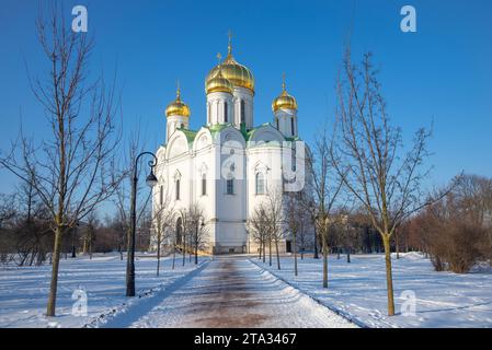 Kathedrale von St. Katharina die große Märtyrerin. Zarskoje Selo (Puschkin), Russland Stockfoto