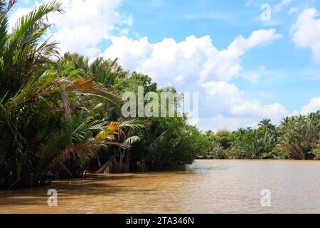 Mekongdelta, Vietnam Stockfoto