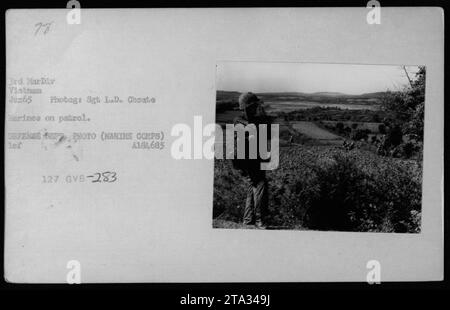 Marinekorps Patrouille in Vietnam, Juni 1965. Auf diesem Foto, aufgenommen von Sgt. L.D. Choate, Mitgliedern der 3. Marine-Division, die eine Patrouille leiten. Das Bild spiegelt die intensive und unerbittliche Natur der militärischen Operationen während des Vietnamkriegs wider. FOTO DER VERTEIDIGUNGSABTEILUNG (MARINE CORPS) 10F A134,685 127 GVB-283. Stockfoto