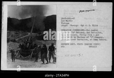 Artilleriebeschuss während der Operation Cumberland - Geschütze Nummer drei der Batterie, 2. Bataillon, 94. Artillerie, feuert von einem von Marines der C-Kompanie gebauten Waffenplatz, 11. Ingenieur-Bataillon in Camp Zamora. Das Bild wurde am 2. August 1967 von Sgt J.L. Blick aufgenommen. Foto des Verteidigungsministeriums (Marine Corps). 24ng67.“ Stockfoto