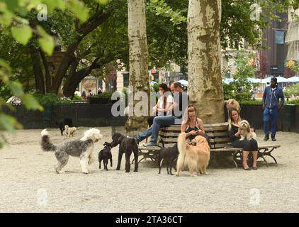 New York, USA - 30. Mai 2018: People Walking Dog Run in New York. Stockfoto