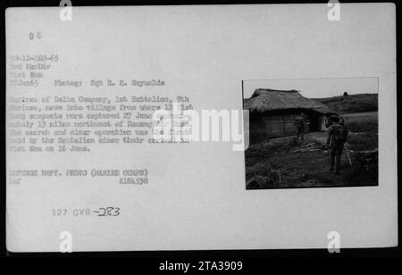 Harines von Delta Company, 1. Bataillon, 9. Marines, ziehen in ein Dorf, in dem 12 Viet Cong Verdächtige am 27. Juni 1965 gefangen genommen wurden. Diese Such- und Löschoperation, etwa 13 Meilen nordwestlich der Danang Air Base, war die erste für das Bataillon seit ihrer Ankunft in et NEM am 16. Juni. Stockfoto