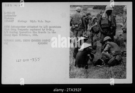 Viet Cong verdächtigt und Gefangene, die von einem Dolmetscher des US Marine Corps während der Operation Rio Grande in der Provinz Quang Ngai, Vietnam, verhört werden. Das Bild wurde am 19. Februar 1967 aufgenommen. Stockfoto