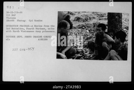 Ein Marine des 3. Bataillons, Vierte Marines, diskutierte und überwachte nordvietnamesische Armeeangehörige während der Operation Prairie. Dieses Foto wurde am 2. November 1966 in Vietnam aufgenommen. Es ist ein offizielles Foto des Verteidigungsministeriums vom Marine Corps. Bildunterschrift: Ein Marine unterhält sich mit NVA-Gefangenen während militärischer Operationen. Stockfoto