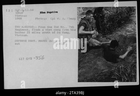 Marines vom 2. Bataillon, 7. Regiment, zwingen einen Vietnam Cong aus seinem Bunker, 22 Meilen südlich von da Nang, Vietnam. Dieses Foto wurde 1968 während des Vietnamkriegs aufgenommen. Es ist ein Foto des Verteidigungsministeriums, das ursprünglich vom Fotografen CPL W. A. Cberg aufgenommen wurde. Stockfoto