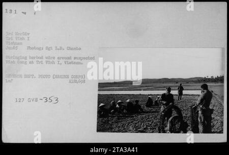 Soldaten des Marinekorps, die im Juni 1965 Stacheldraht um mutmaßliche vietnamesische Gefangene in Thi Vinh I, Vietnam streiften. Dieses Foto zeigt eine militärische Aktivität während des Vietnamkriegs. (Fotograf: Sgt L.D. Choate) Stockfoto