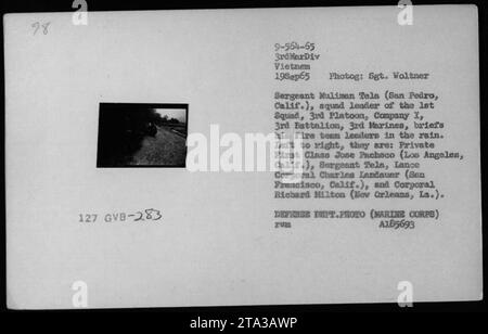 Sergeant Muliman Tela, Anführer des 1. Trupps, 3. Zug, Kompanie I, 3. Bataillon, 3. Marines, er informierte seine Leiter der Feuerwehr im Regen während einer Patrouille am 19. September 1965 in Vietnam. Von links nach rechts sind der private First Class Jose Pacheco, Sergeant Tela, Lance Corporal Charles Landauer und Corporal Richard Milton zu sehen. Foto von Sergeant Woltner. (MARINEKORPS) A185693 ZUB. Stockfoto