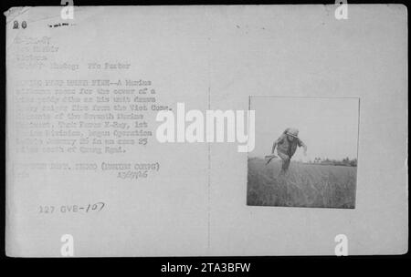 Marinesoldat sucht Deckung in einem Reisfeld während des Kampfes in Operation Desoto im Februar 1967. Elemente des 7. Marine-Regiments, Task Force X-Ray, 1. Marine-Division, wurden während des Rückzugs von der Viet Cong beschossen. Die Operation fand 25 Meilen südlich von Quang Tri statt. (Fotograf: Pic Porter) Stockfoto