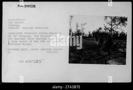 Eine Gruppe von Marines aus der 'I' Kompanie, 3. Bataillon, 1. Marines ist auf diesem Foto zu sehen, wie sie sich am 23. Dezember 1967 durch die Landschaft südlich der DMZ bewegten. Diese Operation, bekannt als Operation Fortress Ridge, wurde im Rahmen der Aktivitäten der 1. Marine Division während des Vietnamkriegs durchgeführt. Stockfoto