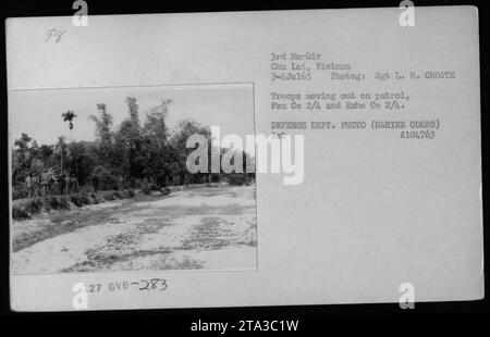 Marines von Fox Company 2/4 und Echo Company 2/4 auf einer Patrouille in Chu Lai, Vietnam am 3. Juli 1965. Das Foto von Sgt I. D. Choate zeigt, wie die Truppen ausziehen. Es ist ein offizielles Foto des Verteidigungsministeriums vom Marinekorps während des Vietnamkriegs. A184763 ist die entsprechende Referenznummer. Stockfoto