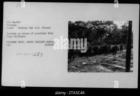 Marines führten im Juni 1965 während des Vietnamkrieges eine Patrouille durch. Das Foto fängt den Moment ein, in dem die Marines ein mögliches Viet Cong-Dorf durchfegen. Dieses Bild wurde von Sgt L.D. Choate aufgenommen und vom Verteidigungsministerium veröffentlicht. Stockfoto