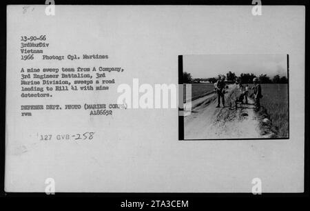 Auf diesem Foto aus dem Jahr 1966 während des Vietnamkrieges ist ein Minenräumteam aus Einer Kompanie, dem 3. Ingenieur-Bataillon, der 3. Marine-Division, zu sehen. Das Team nutzt Minendetektoren, um eine Straße nach Hill kl zu fegen und mögliche Gefahren zu beseitigen. Foto von CPL. Martinez. Stockfoto