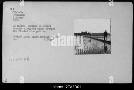 Marines patrouillierten 1966 Reisfelder entlang von Deichen in Vietnam und durchquerten schwieriges Gelände. Foto vom Verteidigungsministerium. Stockfoto