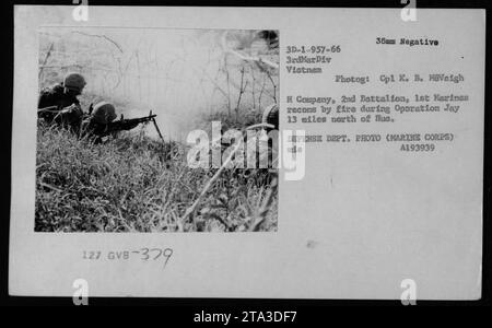 US-Marines von der H-Kompanie, 2. Bataillon, 1. Marines, die während der Operation Jay in Vietnam Aufklärungen durch Feuer durchführen. Das Foto zeigt sie mit US-Waffen, einschließlich der GVB-379 und 3D-1-957-66, die während des Vietnamkriegs von den amerikanischen Streitkräften verwendet wurden. Dieses Bild wurde von Corporal K. B. MaVeigh von der 3. Marine Division aufgenommen. Stockfoto