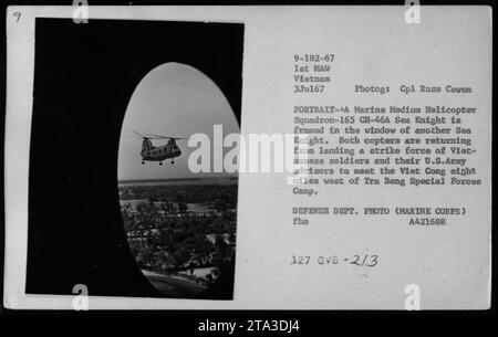 Eine Marine Medium Helicopter Squadron-165 CH-46A Sea Knight wird am 3. Juli 1967 im Fenster eines anderen Sea Knight gesehen. Die Hubschrauber kehrten von einer Mission zurück, um vietnamesische Soldaten und ihre Berater der US-Armee zu landen, um die Viet Cong nahe dem Tra Bong Special Forces Camp zu treffen. Dieses Bild wurde von CPL Russ Cowen aufgenommen und ist Teil der Fotosammlung des Verteidigungsministeriums. Stockfoto