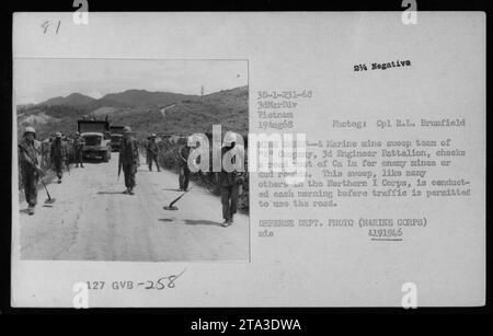 Ein Marine-Minenfechtungsteam der A-Kompanie, 3D-Ingenieurbataillon, überprüft eine Straße westlich von Ca Lu, Vietnam, nach feindlichen Minen oder Dud-Runden. Diese routinemäßige morgendliche Kehrung wird durchgeführt, um die Straßensicherheit zu gewährleisten, bevor der Verkehr zugelassen wird. Foto des Verteidigungsministeriums, aufgenommen am 19. August 1968 von CPL R.L. Brumfield. Stockfoto