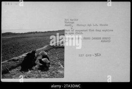 Gefangene aus Vietnam und Gefangene, die während des Vietnamkriegs auf offenem Feld festgehalten wurden. Das Foto wurde im Juni 1965 von Sgt L.D. Choate von der 3. Marine Division aufgenommen. Es zeigt mehrere Personen, die unter Bewachung auf dem Gras sitzen. Foto Des Verteidigungsministeriums (Marine Corps). Stockfoto